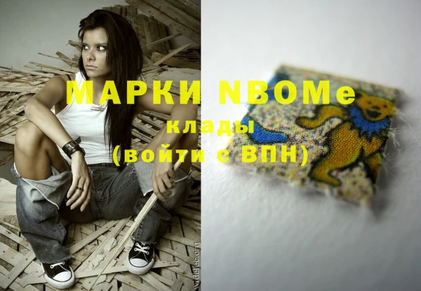 apvp Алексин