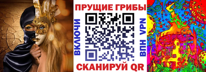 Псилоцибиновые грибы Magic Shrooms Дно